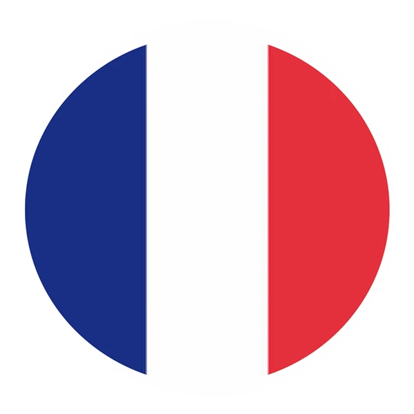 french exchange programme logo